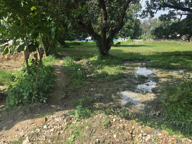 Residential Plot in Rajatalab for resale Varanasi. The reference number is 21114097