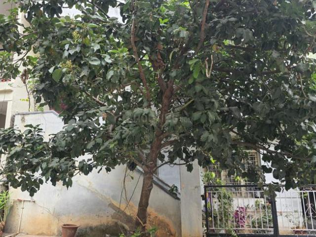Residential Plot in Rajajinagar for resale Bengaluru. The reference number is 19253517