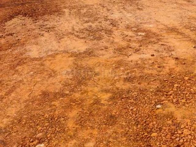 Residential Plot in Rajanagram for resale Rajahmundry. The reference number is 20287484