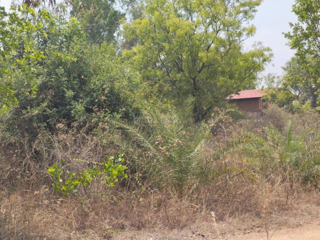 Residential Plot in Rajanukunte for resale Bengaluru. The reference number is 20012135