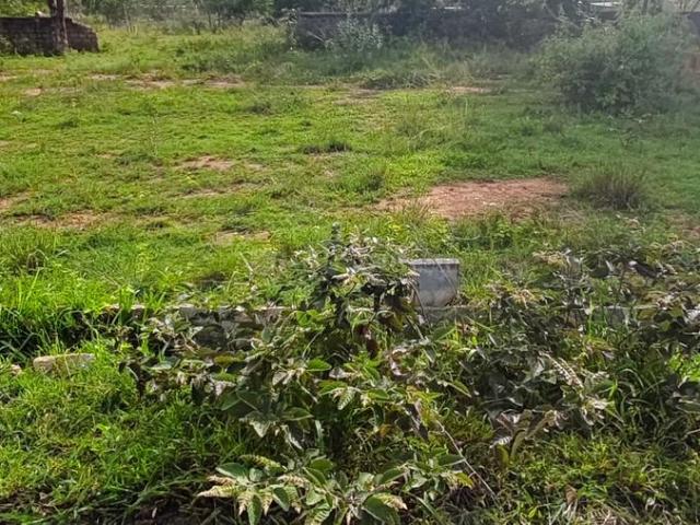 Residential Plot in Rajanukunte for resale Bengaluru. The reference number is 21037382