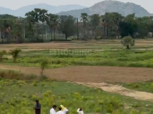 Residential Plot in Rajgir for resale Nalanda. The reference number is 20983772