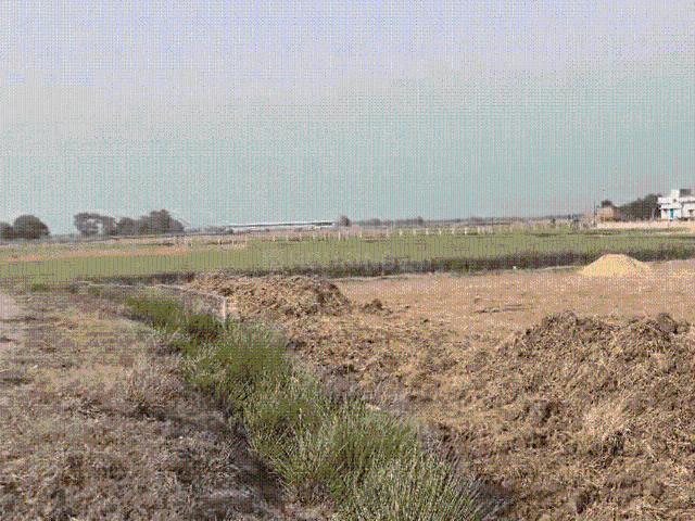 Residential Plot in Rajgir for resale Nalanda. The reference number is 20008836