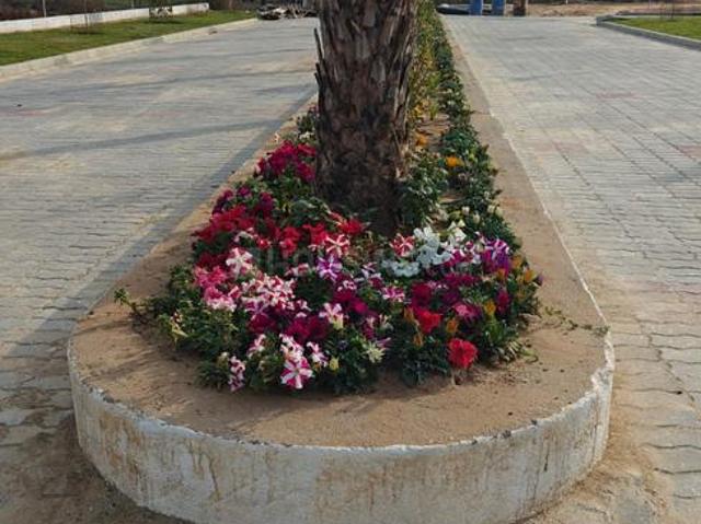 Residential Plot in Ramchandpura for resale Jaipur. The reference number is 20230265