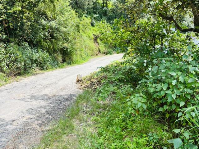 Residential Plot in Ramgarh for resale Nainital. The reference number is 20975306