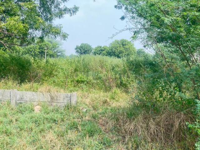 Residential Plot in Rancharda for resale Gandhinagar. The reference number is 18674745
