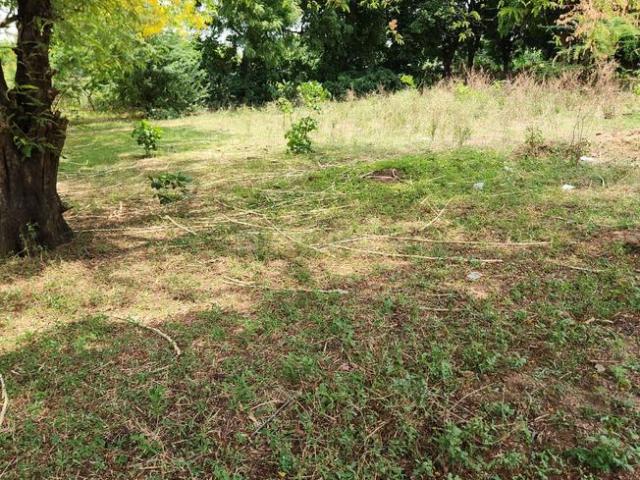Residential Plot in Randesan for resale Gandhinagar. The reference number is 18425245