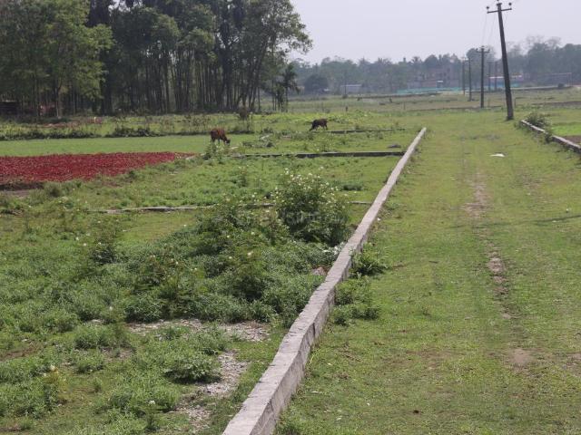 Residential Plot in Ranga Pani for resale Siliguri. The reference number is 18683964