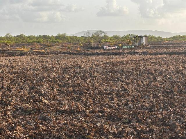 Residential Plot in Ranjanpada for resale Navi Mumbai. The reference number is 20608031