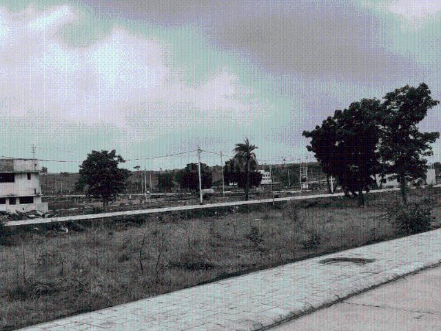 Residential Plot in Rau for resale Indore. The reference number is 20134472