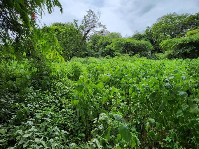 Residential Plot in Raysan for resale Gandhinagar. The reference number is 14226029