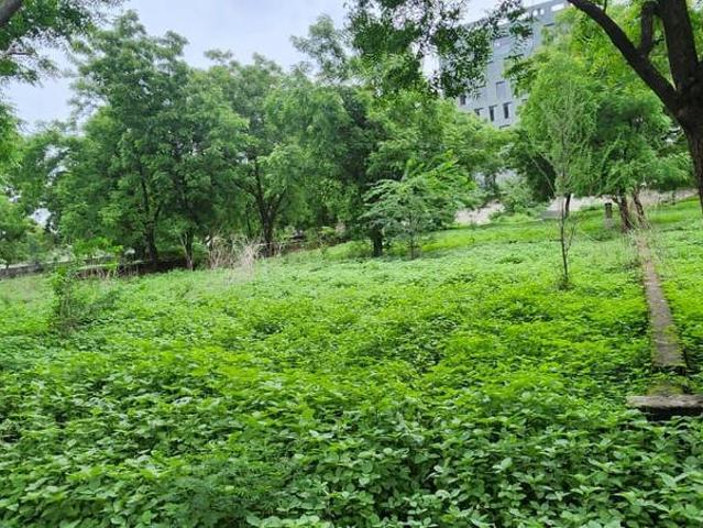 Residential Plot in Raysan for resale Gandhinagar. The reference number is 18536395