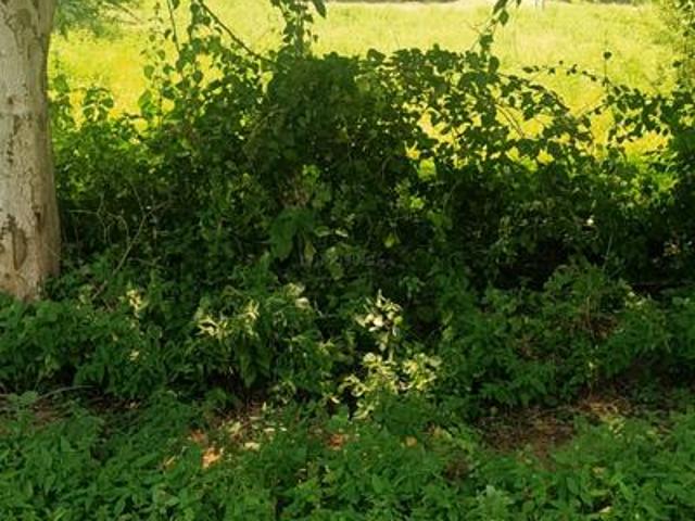 Residential Plot in Raysan for resale Gandhinagar. The reference number is 10309496