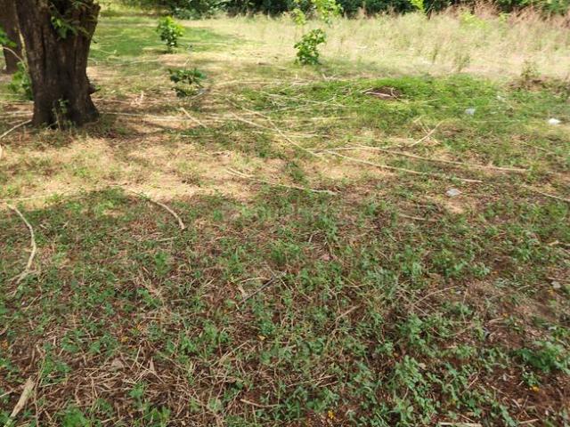 Residential Plot in Raysan for resale Gandhinagar. The reference number is 20599441