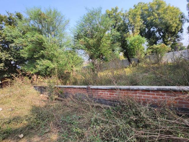 Residential Plot in Raysan for resale Gandhinagar. The reference number is 20592253