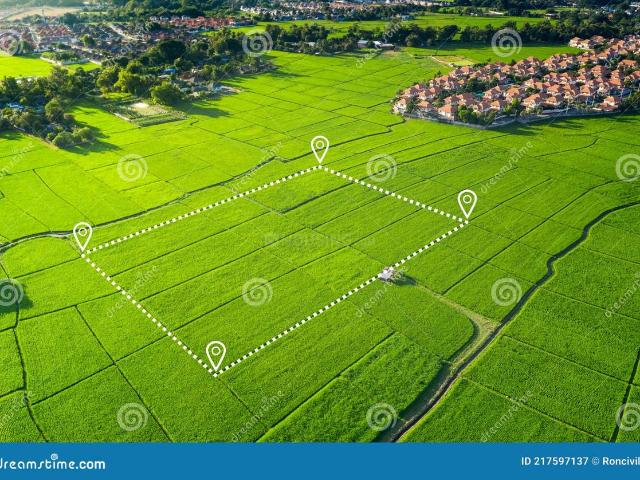 Residential Plot in Revasa for resale Chandauli. The reference number is 20670426
