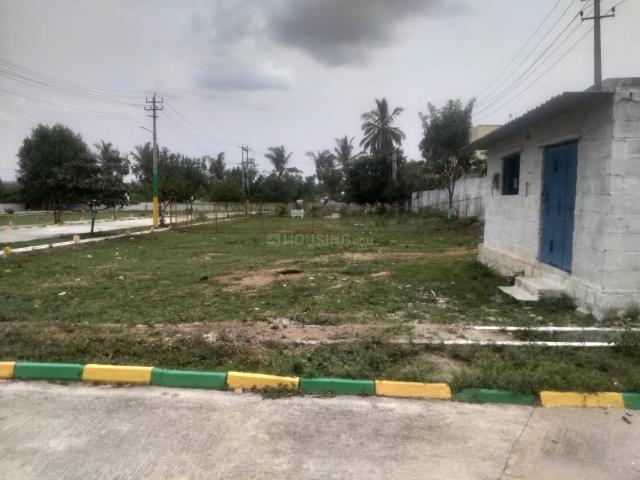 Residential Plot in Robertsonpet for resale Kolar. The reference number is 20387599