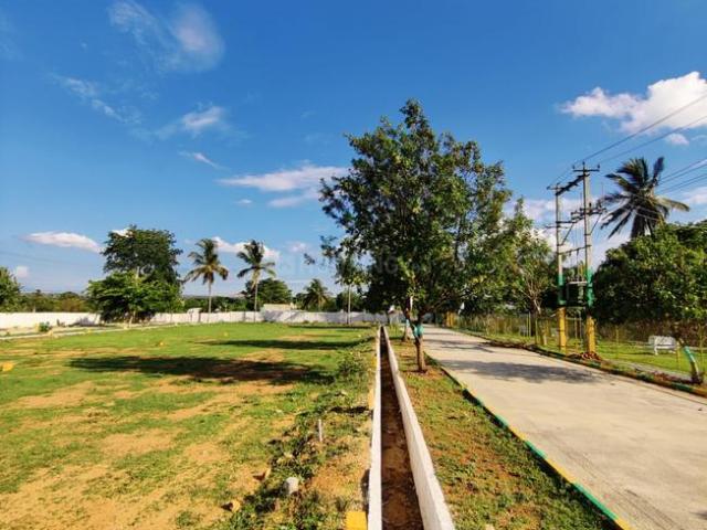 Residential Plot in Robertsonpet for resale Kolar. The reference number is 20434497