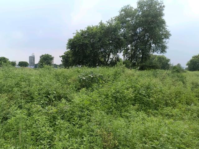 Residential Plot in Rohini Sector 28 for resale New Delhi. The reference number is 18251706