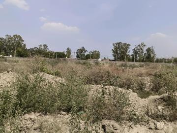 Residential Plot in Rohini Sector 28 for resale New Delhi. The reference number is 19936968