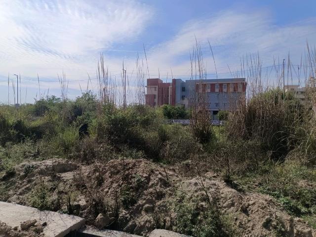 Residential Plot in Rohini Sector 28 for resale New Delhi. The reference number is 19268060