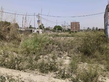 Residential Plot in Rohini Sector 28 for resale New Delhi. The reference number is 20264318
