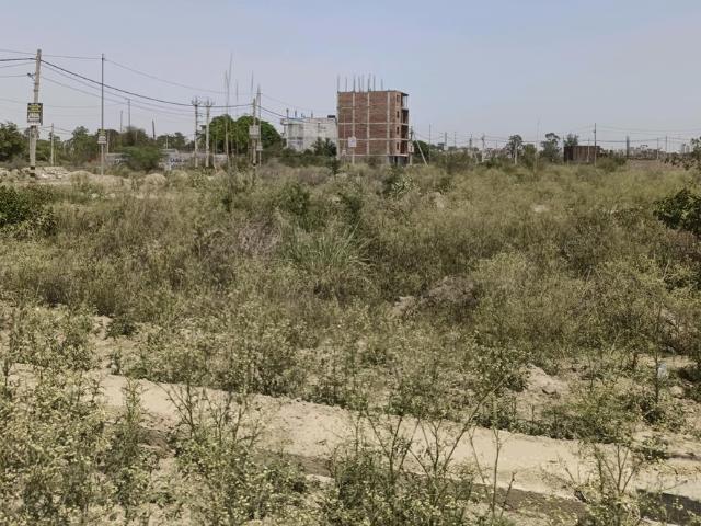 Residential Plot in Rohini Sector 28 for resale New Delhi. The reference number is 20264337