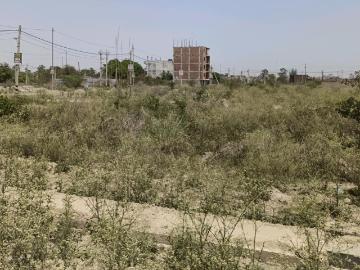 Residential Plot in Rohini Sector 28 for resale New Delhi. The reference number is 20264337