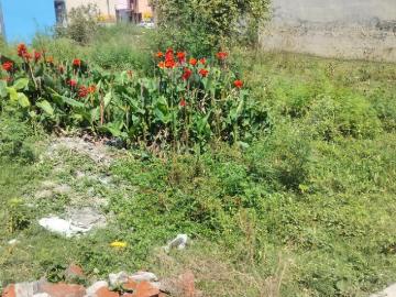 Residential Plot in Roshanabad for resale Haridwar. The reference number is 20090986