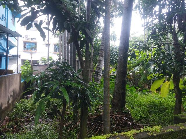 Residential Plot in Subhasgram for resale Kolkata. The reference number is 14676371