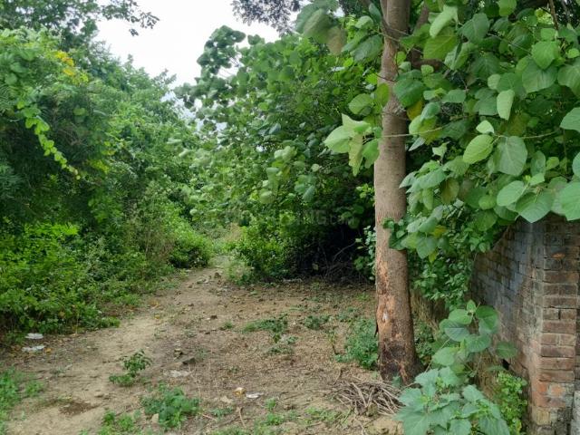 Residential Plot in Sultanpur Road for resale Lucknow. The reference number is 21182846