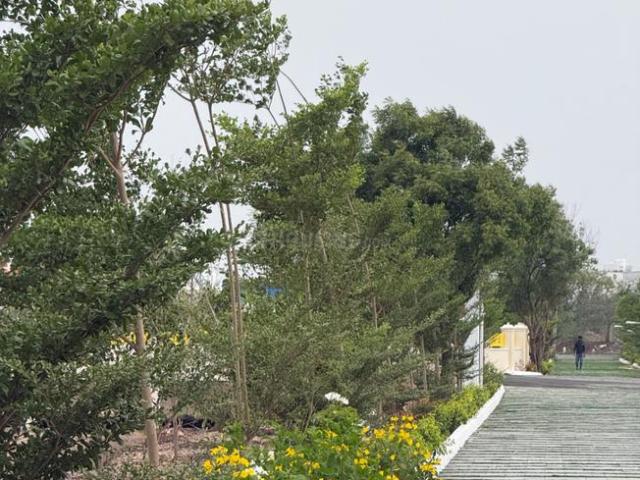 Residential Plot in Sulur for resale Coimbatore. The reference number is 21291680