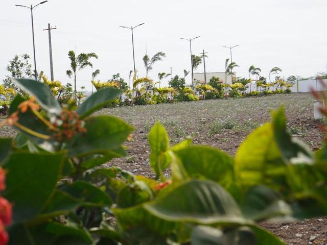 Residential Plot in Sulur for resale Coimbatore. The reference number is 21291636