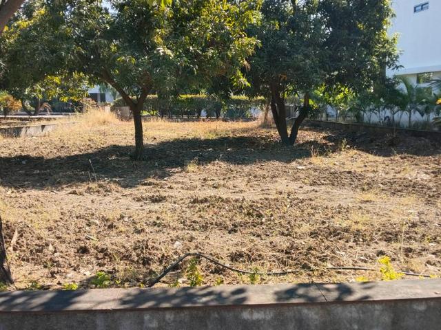 Residential Plot in Sundarpura for resale Vadodara. The reference number is 19060708