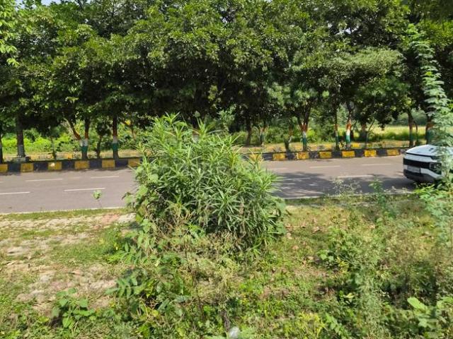 Residential Plot in Sushant Golf City for resale Lucknow. The reference number is 21249790