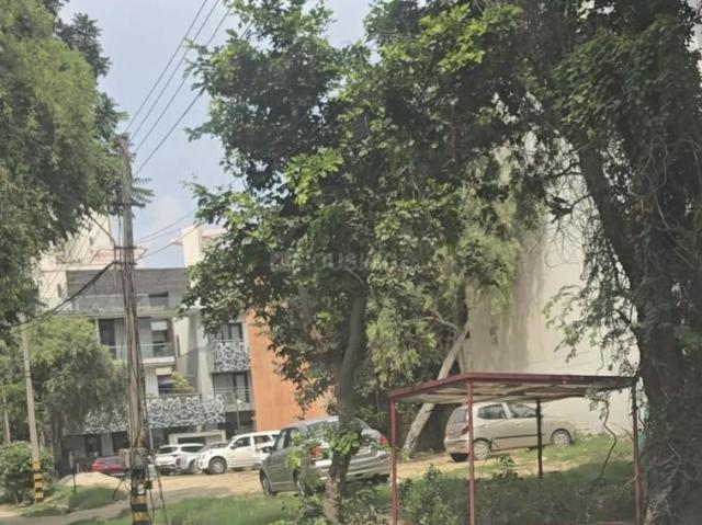 Residential Plot in Sushant Lok Phase 1 for resale Gurgaon. The reference number is 18638483