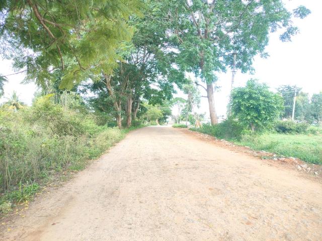 Residential Plot in S.Bingipura for resale Bengaluru. The reference number is 20970065