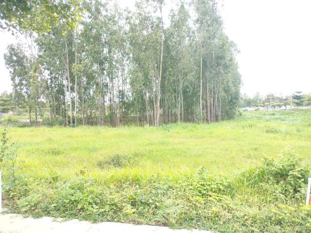 Residential Plot in Electronic City for resale Bengaluru. The reference number is 20970281