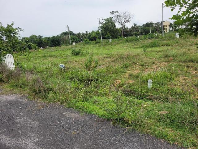 Residential Plot in S.G. Palya for resale Bengaluru. The reference number is 17545353
