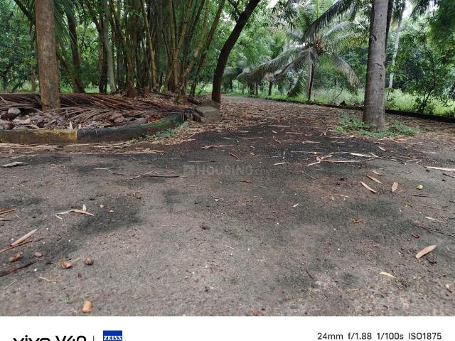 Residential Plot in Sabbavaram for resale Visakhapatnam. The reference number is 19170386