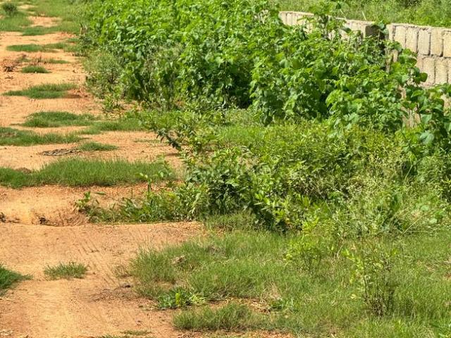 Residential Plot in Sabbavaram for resale Visakhapatnam. The reference number is 21136520