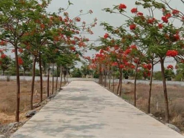 Residential Plot in Saddu for resale Raipur. The reference number is 18079362