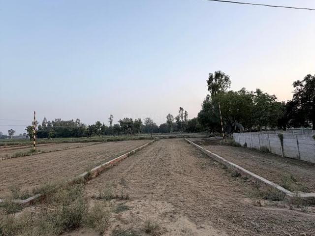 Residential Plot in Safedabad for resale Lucknow. The reference number is 21024615