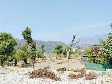 Residential Plot in Sahastradhara Road for resale Dehradun. The reference number is 15836654