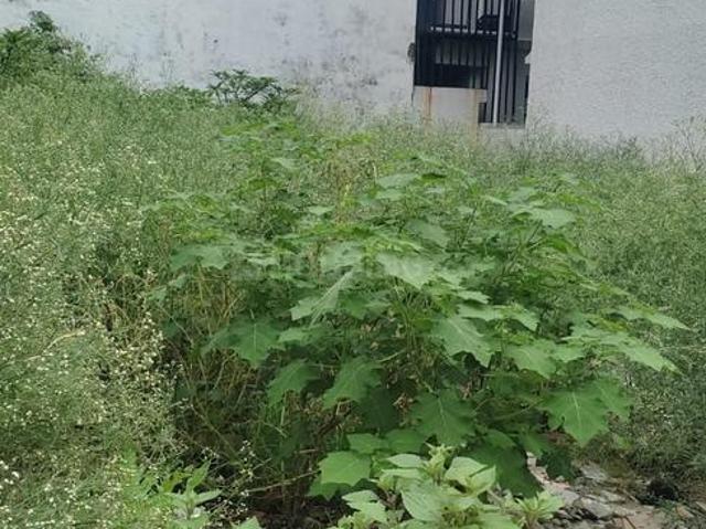 Residential Plot in Sahastradhara Road for resale Dehradun. The reference number is 20676277