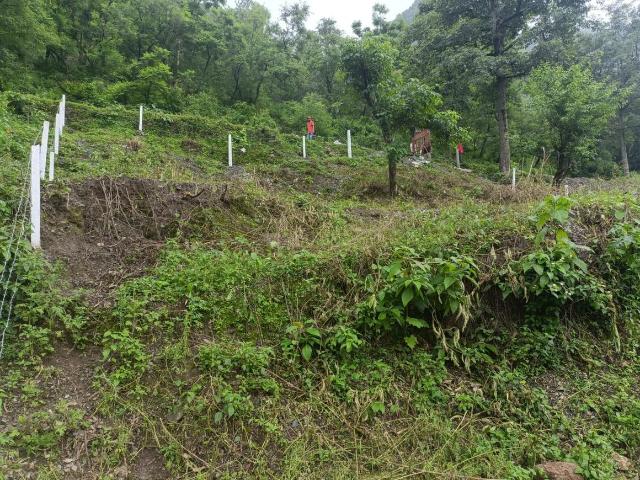 Residential Plot in Sahastradhara Road for resale Dehradun. The reference number is 20782727