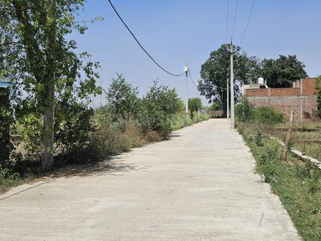 Residential Plot in Salempur for resale Kanpur. The reference number is 20806249