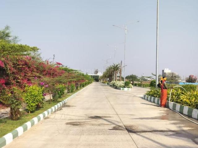 Residential Plot in Saliwada for resale Jabalpur. The reference number is 19733598