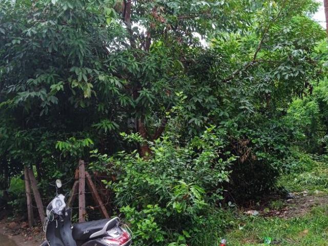 Residential Plot in Samardha for resale Bhopal. The reference number is 20645310