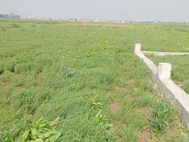 Residential Plot in Sampatchak for resale Patna. The reference number is 16158557